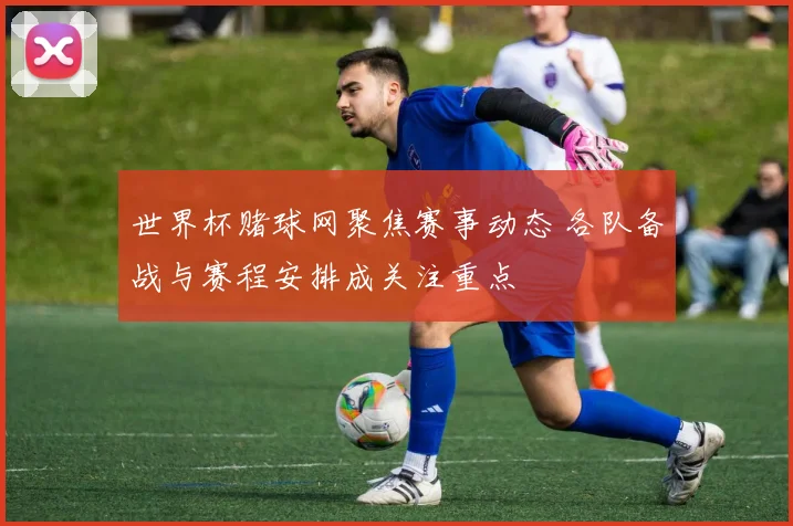 世界杯赌球网聚焦赛事动态 各队备战与赛程安排成关注重点