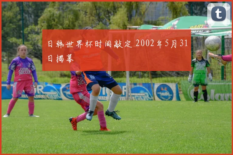 日韩世界杯时间敲定 2002年5月31日揭幕