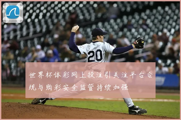 世界杯体彩网上投注引关注平台合规与购彩安全监管持续加强