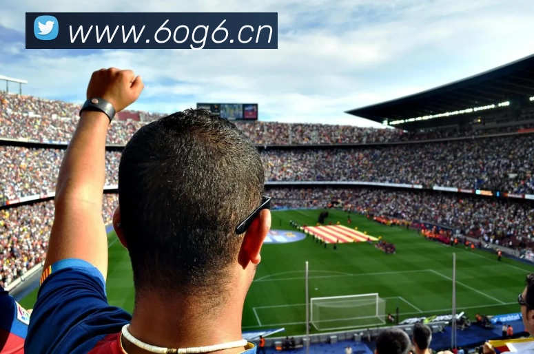 多媒体互动体验